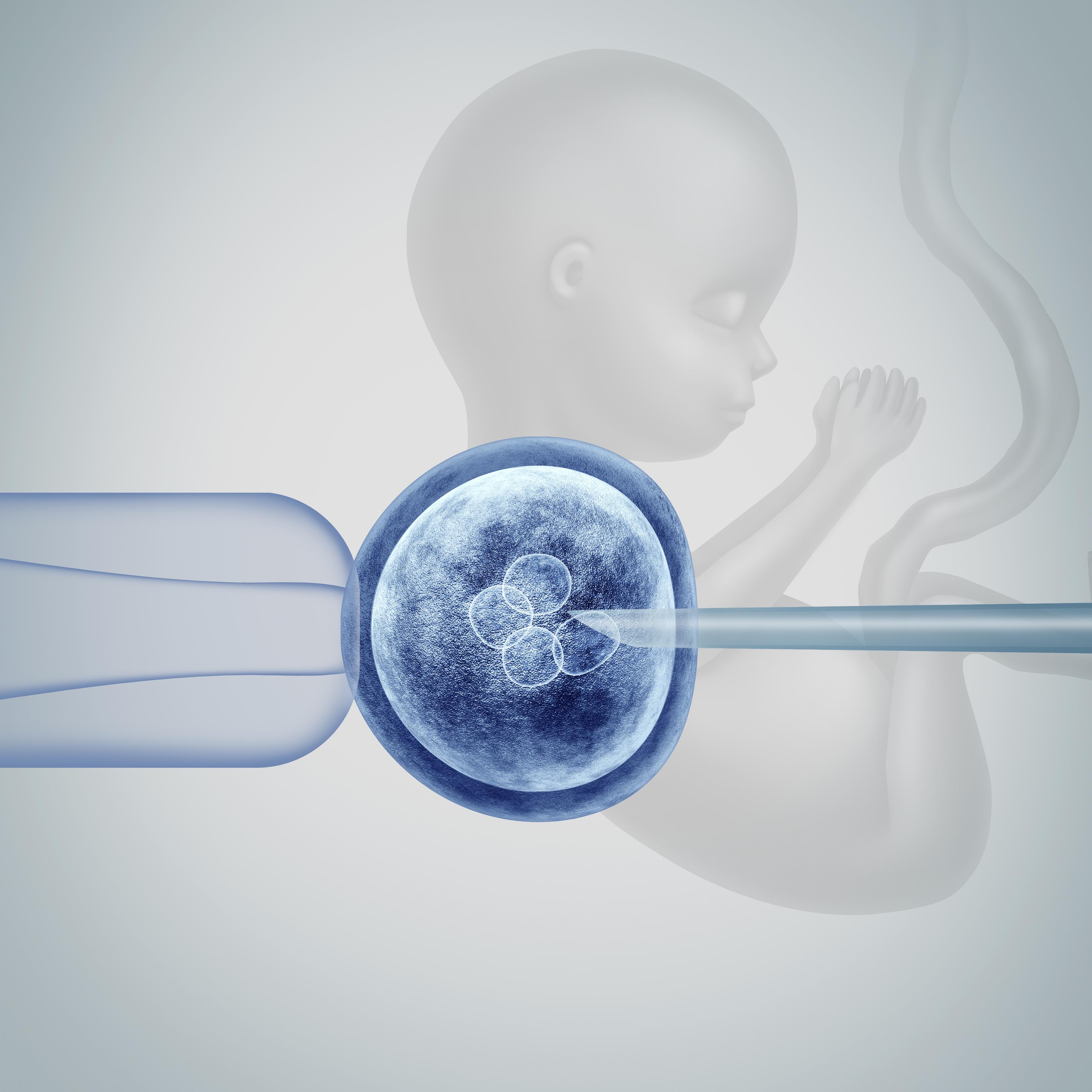 IUI, Ovulation Study and Ovulation Induction Treatment